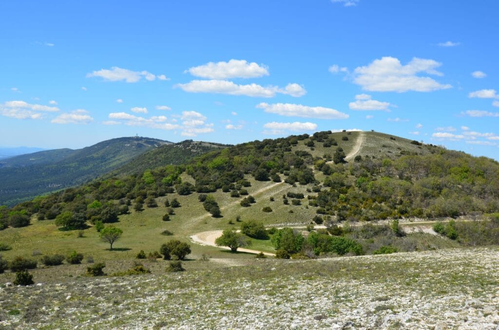 Randonnées Vitrolles en Luberon
