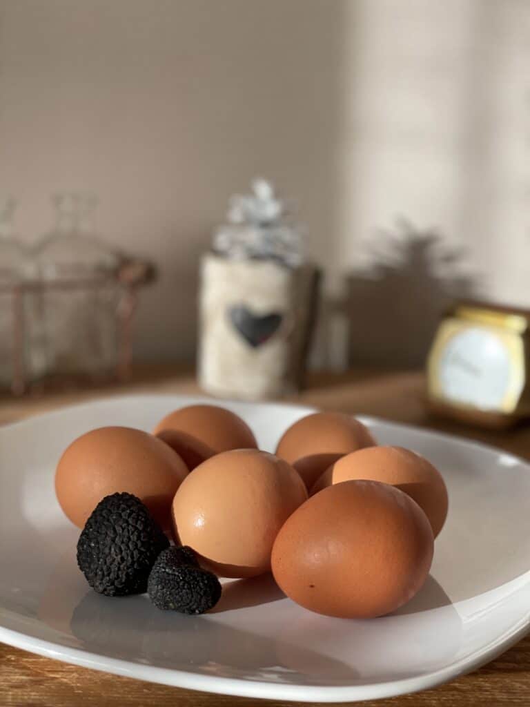deguster truffe noire
