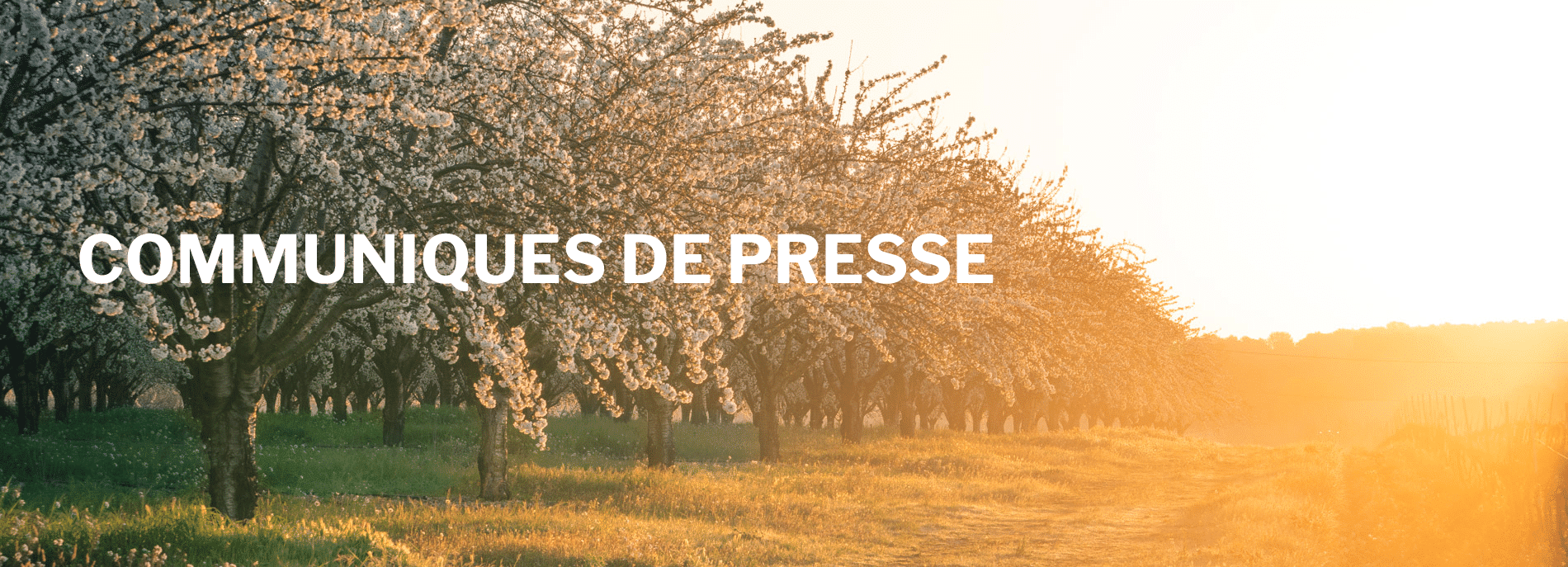 Espace presse Luberon Sud Tourisme