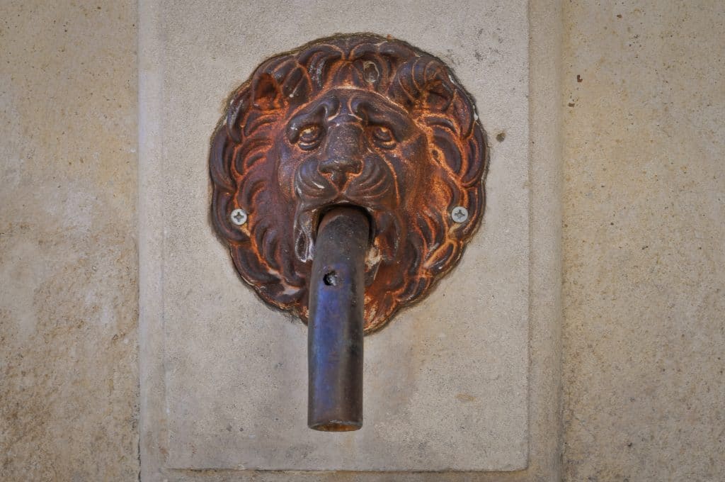 fontaine-cadenet-lion