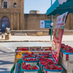 Listing des jours de marchés