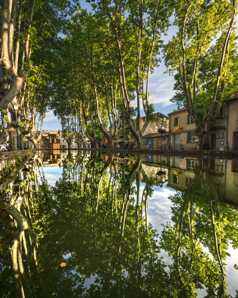 Bassin-de-letang-Cucuron