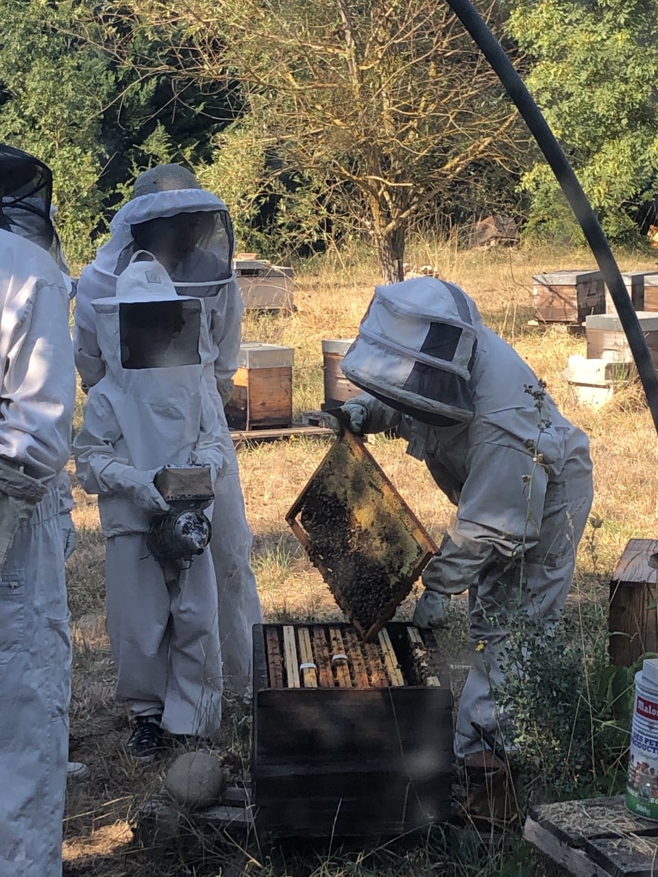 toutes les activités à faire et refaire dans le sud luberon