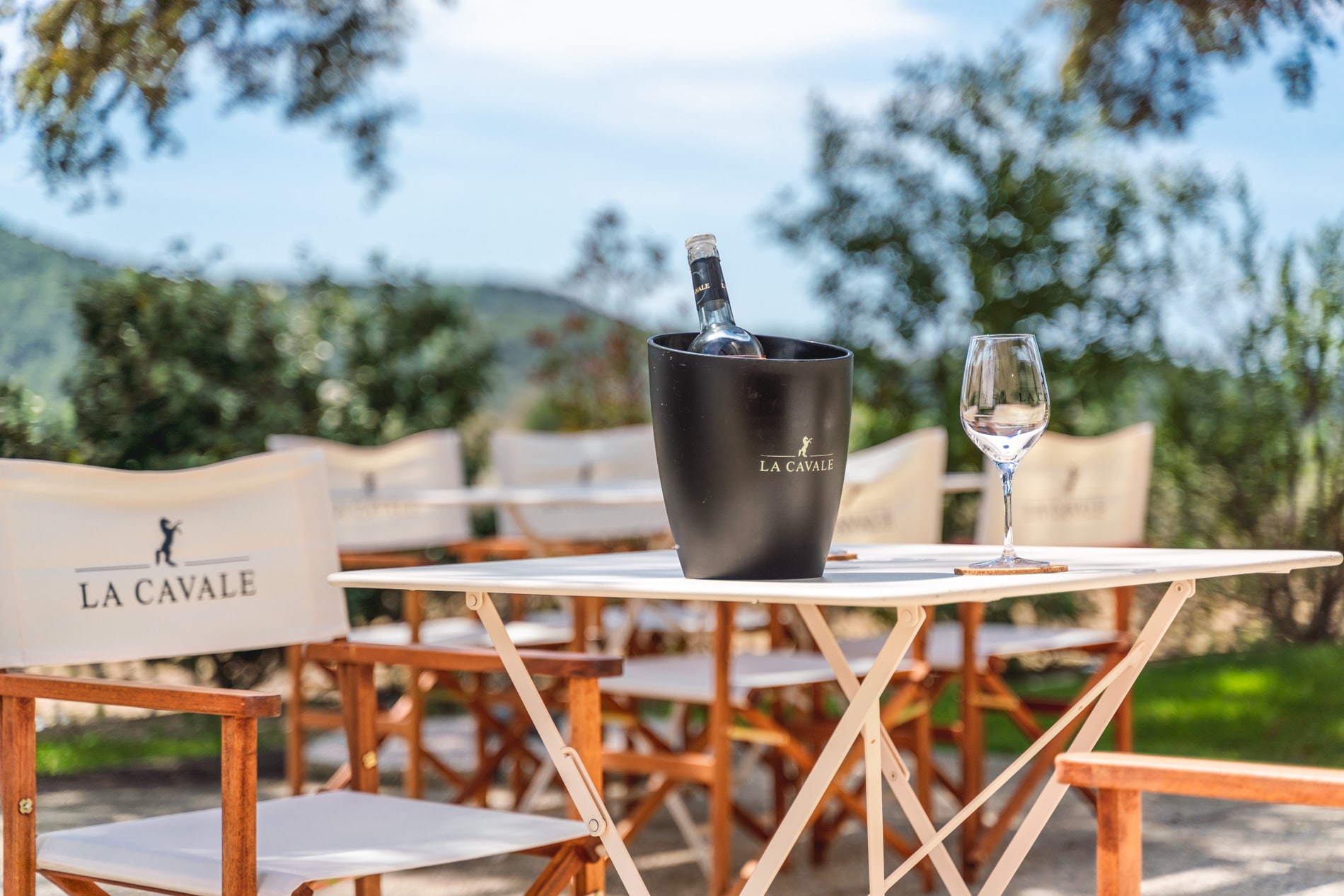 degustation domaine viticole sud luberon