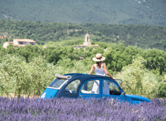 Escapade dans la lavande