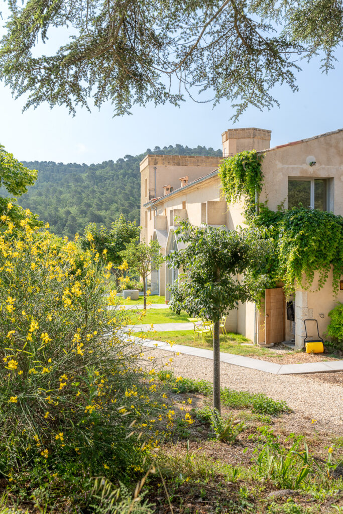 Ferme HIbride © LuberonSudTourisme (1 sur 24)