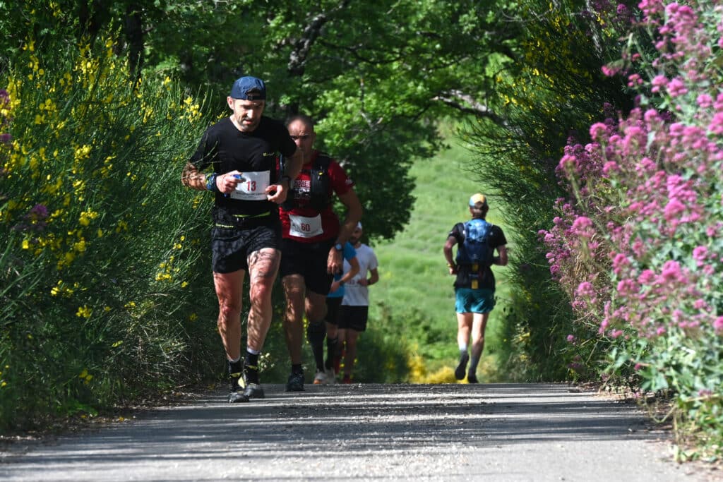 Trail du Grand Luberon