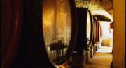 Cave Château la Canorgue