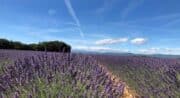Domaine les Agnels