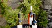 Domaine de Marie