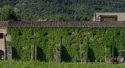 Domaine de Marie
