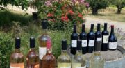 Domaine de l’Angèle