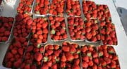 Marché