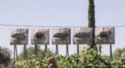 Des oeuvres d'art en visite gratuite