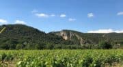 Château Fontvert