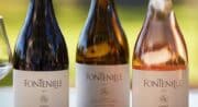 Domaine de Fontenille