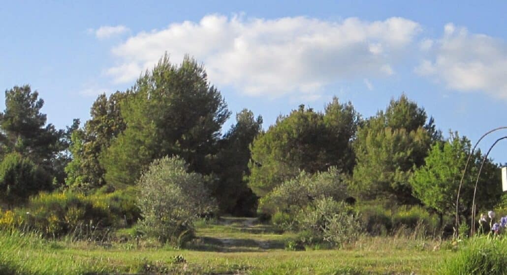Vue Générale Camping à La Ferme Roumavagi