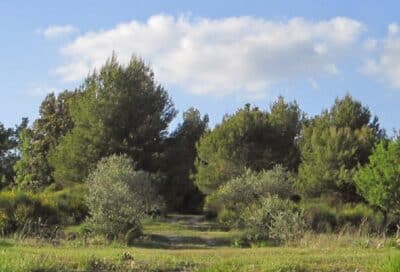 Vue Générale Camping à La Ferme Roumavagi