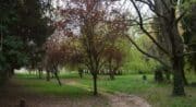 Camping Lou Badareu