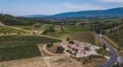 Domaine des Marchands - le Domaine