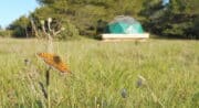 Dôme géodésique Camping à la ferme Roumavagi