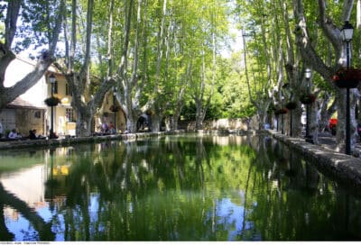 Bassin de l’étang