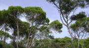 Sentier géologique - Cabrière d'Aigues à la Bergerie