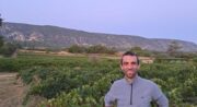 La petite bastide - Christophe THOMASSIN