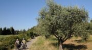 Couple en vélo