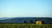 Domaine Les vadons Cucuron