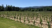 Domaine La Garelle