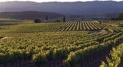Terres Valdèze