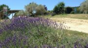 Camping l'Air du Temps