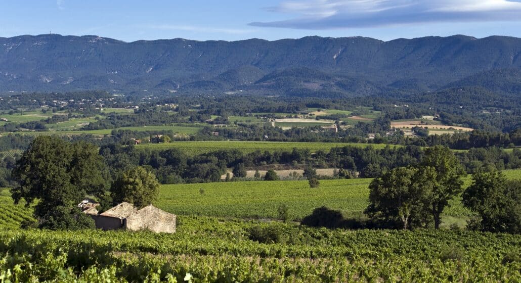 Terre Valdèze