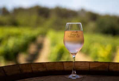 Vin du Sud Luberon