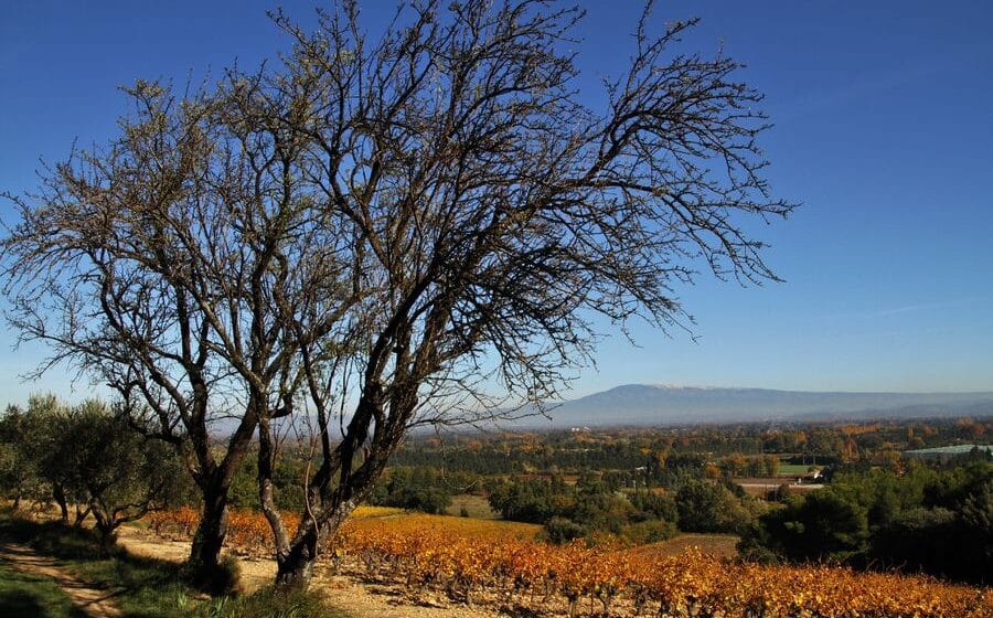 Domaine de Fontségugne