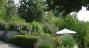 Le Petit Tourel