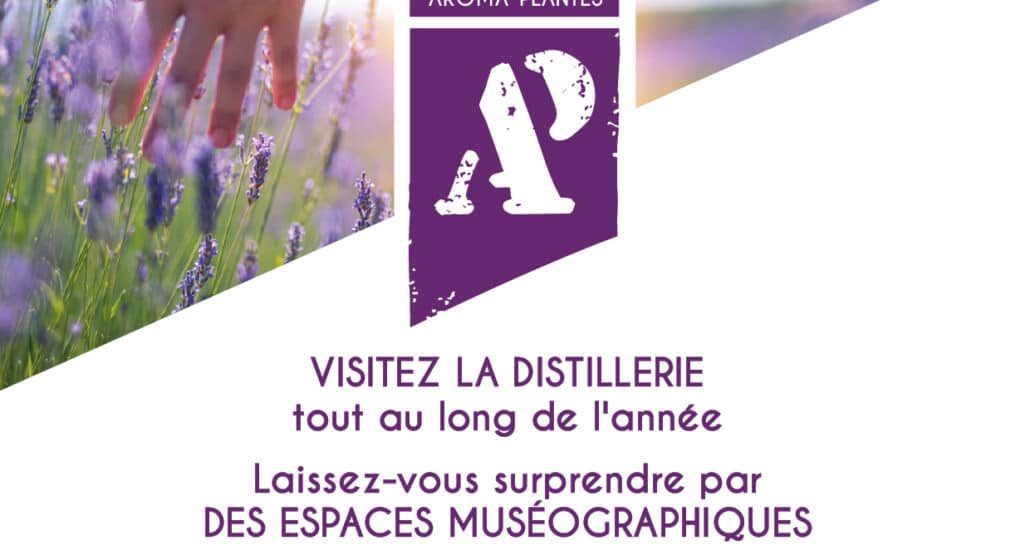 Distillerie Aroma'Plantes_Sault