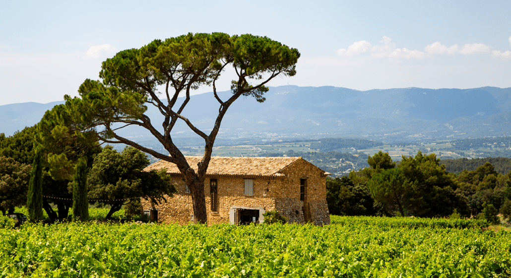 Domaine Les Perpetus