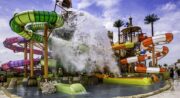 Wave Island