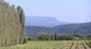 Les coteaux de Grambois
