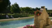 Vignoble en Luberon