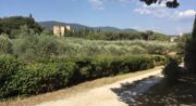 Domaine de Casteuse