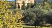 Vue sur chateau de Lourmarin du Domaine de Casteuse