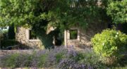 Gîte "Sous l'amandier" La Parpaille