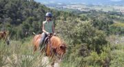 Cheval Enjeu