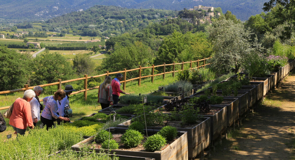 Jardin botanique de la Citadelle