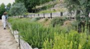Jardin botanique la Citadelle