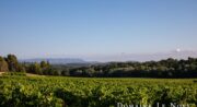 Domaine Le Novi