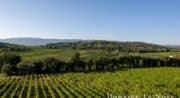 Domaine Le Novi